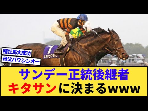 【競馬】サンデー正統後継者、キタサンブラックに決まるwww