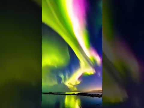 Incredible display of Northern Lights while Camping #shorts #camping #northernlights