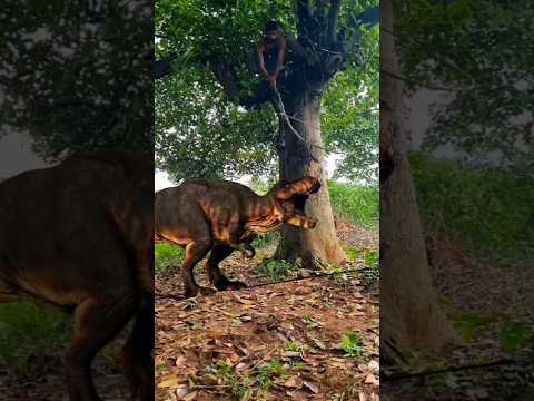 Dinosaur 🦖 vfx Dengerous🤯🤯😲💥Seen #shots #video #ytshorts #youtubeshorts #animals #money #tiger #lion