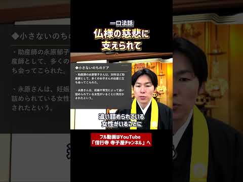 【一口法話】仏様の慈悲に支えられて①　#仏教　#法話　#浄土真宗本願寺派　#お寺　#ウェルビーイング　#癒し　#健康　#教養