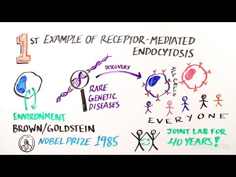 The Cell's Radar: How Cells Sense Their Environment - iBiology & Youreka Science