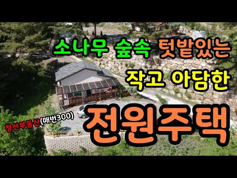 (계약완료) 소나무 숲속 텃밭있는 작고 아담한 전원주택 / 정선토지박사