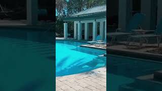 Resort Style Pool | Alaqua | Fort Family Investments