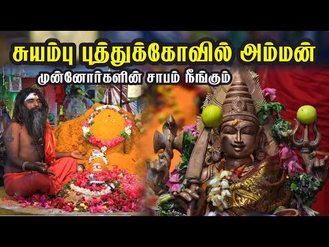 சுயம்பு புத்துக்கோவில் அம்மன் | முன்னோர்கள் சாபம் நீங்கும் |திருமண தடை | நாகசித்தர் | Hello Madurai