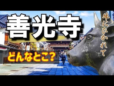 【バスツアー：長野市】なかなか聞けない善光寺のお話Famous tourist spot in Japan “Zenkoji”