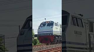 White And Blue ⚪🔵 #shorts #keretaapi #kai121 #railfansindonesia #fyp #railway #daop7madiun