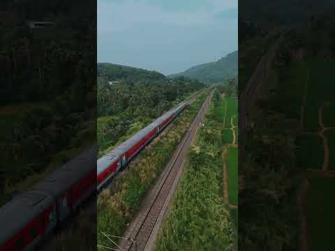 Watching the train from above, as it carves its way through nature 🌴🛤️ #trainjourney #aerialview