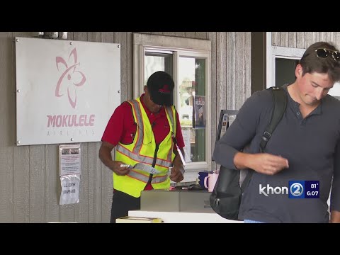 Mokulele flights grounded