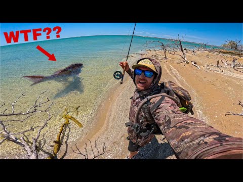 3 Days Camping, Fishing & Hunting for Giant Fish - Remote Australia