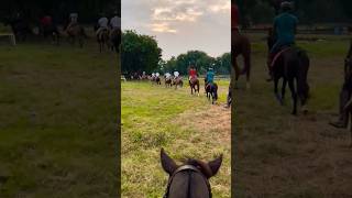 #horse #policehorse #horseriding #horsefan #horsevideo #shorts#viralshorts #trending