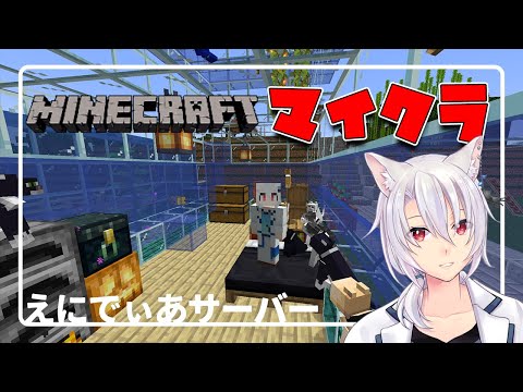 【マイクラ】久々のとっぱつ配信【銀音/個人勢Vtuber】