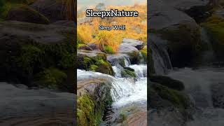 The Relaxing Sound of A Mini Waterfall in Autumn 🍂 | @SleepxNature  #watersoundsforsleeping #sleep