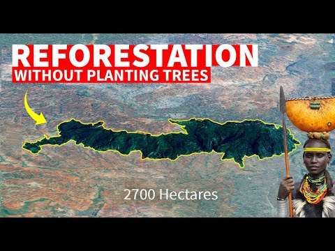 How They Transformed Desert Into Fertile Farmland & Forests