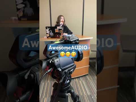 AwesomeAUDIO Shorts