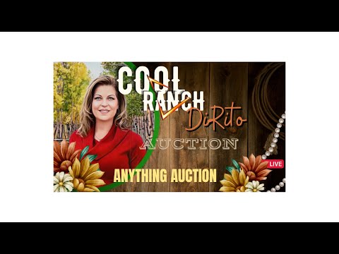 ANYTHING & EVERYTHING AUCTION