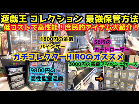 遊戯王 低コスト 庶民的 最強保管方法 初期カード ガチコレクターがすすめる最新コレクション