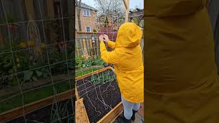 Set up a string trellis with me! 🧵🫛 #gardenlife