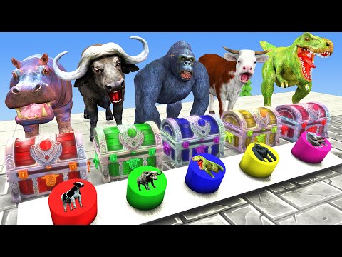 Cow Mammoth Elephant Lion Gorilla Choose the Right Gift Box Run Wild Animals Mystery Button Game