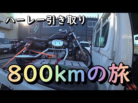 軽トラで800km！初ハーレーを買ったおじさんの引き取り物語！XL1200　モトブログ！