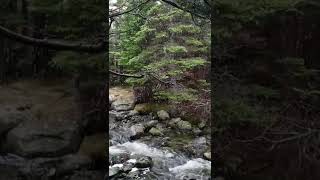 🥰😍Soothing River Sound with Relaxing Music