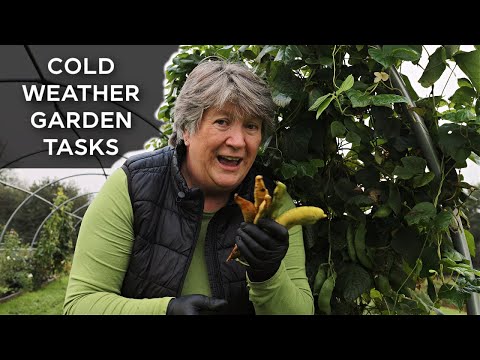 Before cold nights arrive in the garden, practical ideas for how to prepare