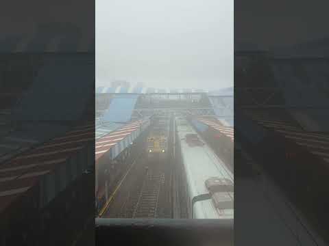 Mumbai Local Train Heavy Rain shorts #train