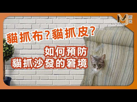 #新采家具小常識 貓抓布?貓抓皮?  如何預防貓抓沙發的窘境【新采精品家飾】