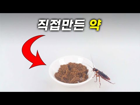 단돈 700원으로 집안의 벌레 모두 싹쓸이 퇴치했습니다!