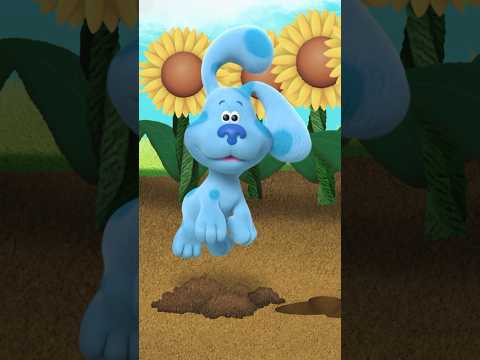 Blue and Josh plant a flower 🌻| Blue's Clues & You! #Shorts