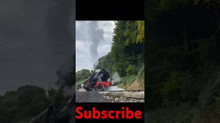 Train #shortfeed #shorts #youtubeshorts #train #indiantrain