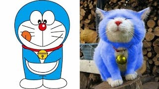 Doraemon Characters In Reallife (Japanese Theme)