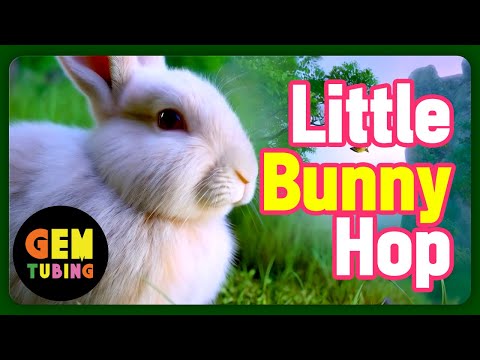 Little Bunny Hop | Bunny Song | Nursery Rhymes | Kids song