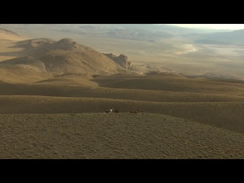 Taming the wild horses of Mantle Ranch