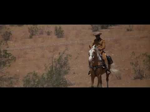 Blazing Saddles - Band