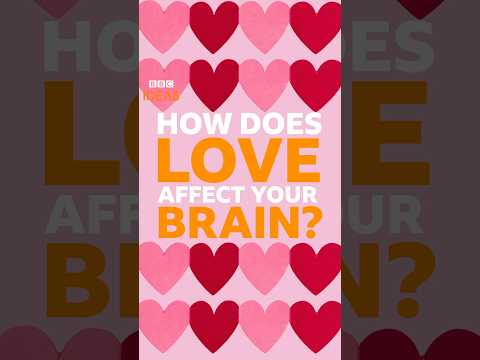 What does being in love do to your brain? ❤ #Shorts #Love #BBCIdeas