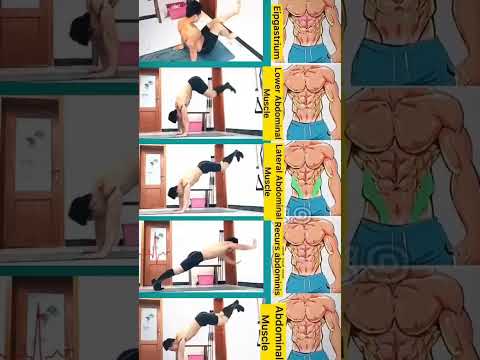 lower abdominal workout #trend #views #tranding #trendingshorts #videos #fitnessexercise