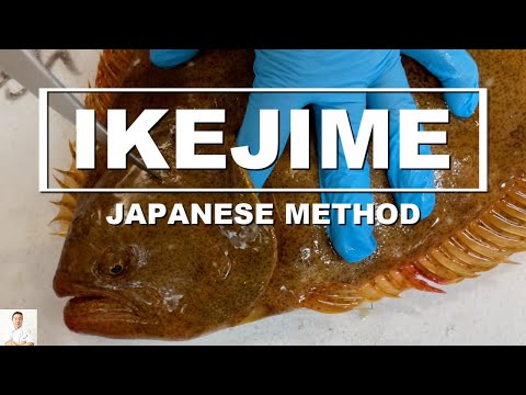 IKEJIME - Japanese Method For Best Tasting Fish