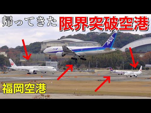 【Large congestion】Takeoff and landing aircraft at Fukuoka Airport!