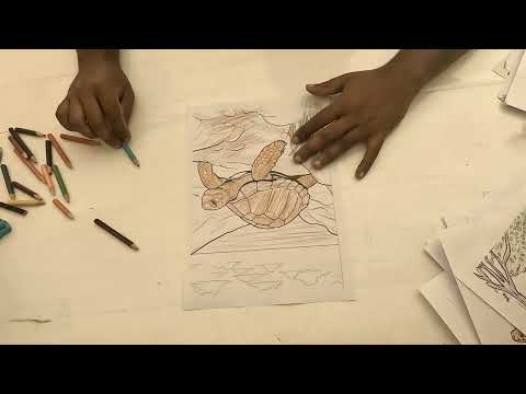 Drawing a Trotoise Image and color with color pencil | Art video 2024