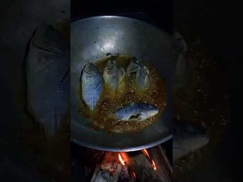 Fish Frying ASMR🐠🇵🇭 #tilapia #fryingfish #frying #asmrcooking