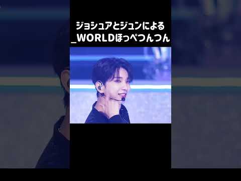 【SEVENTEEN/セブチ/ジョシュア/ジュン】_WORLDほっぺつんつん