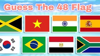 Guessing National Flags (World Record Attempt).  #nationalflag #quiz #game. #flagquiz #nationquiz