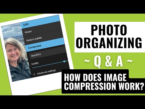 How Does Image Compression Work & More - Photo Organizing LIVE Q&A