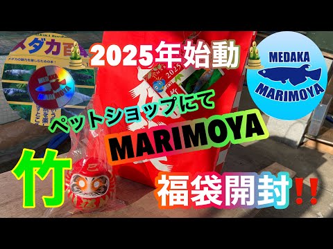 (メダカ)2025年始動！福袋から始めます😊今年もメダカを楽しみましょう❣️開封