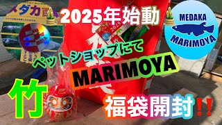 (メダカ)2025年始動！福袋から始めます😊今年もメダカを楽しみましょう❣️開封