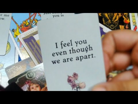 Their next actions for you #currentfeelings #tarot #nocontact #ytfeeds #nextactions