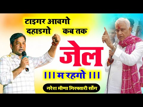 नरेश मीणा गिरफ्तारी सोंग | टाइगर आवगो दहाडगो कब तक जेल म रहगो | Kirodi Lal Meena,naresh meena songs