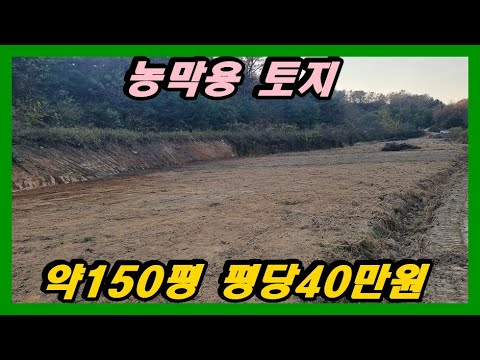 #강화도부동산#강화토지한적한 곳 나만의 쉼터 저렴한 주말농장용 토지 평당40만원 #강화부동산#강화토지#강화전원주택#강화도부동산#강화도토지#강화도전원주택