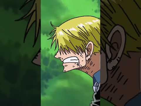 Nothing happened in the comments? Zoro moment