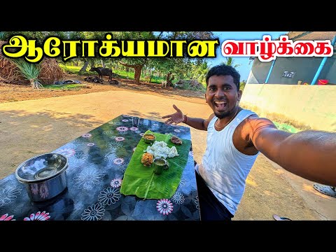 🔥எனது கிராமத்து வாழ்க்கை ஒரு பார்வை😅 | HEALTHY VILLAGE LIFESTYLE | VEGETARIAN FOOD | K7